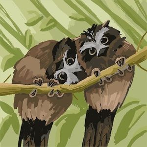 Meet your Posher, Jazmin